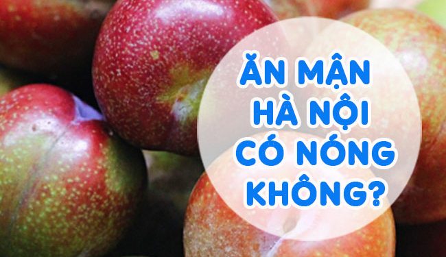 Ăn Mận Hà Nội Có Nóng Không? Xem Ngay Kẻo Muộn