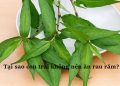 Tại sao con trai không nên ăn rau răm