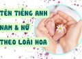 Tên tiếng anh theo loài hoa