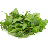 Sự Thật: Ăn Rau Răm Có Làm Ngưng Kinh Nguyệt Không?