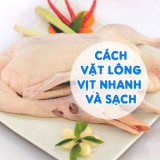 Cách Vặt Lông Vịt Nhanh Và Sạch Bạn Nên Áp Dụng