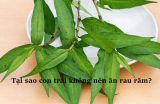 [Hỏi Đáp Sinh Lí] Tại Sao Con Trai Không Nên Ăn Rau Răm?