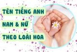 Đặt tên tiếng Anh theo loài hoa dành cho nam và nữ đẹp nhất